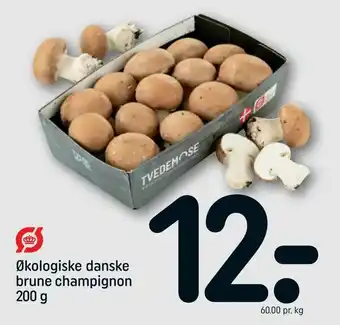 REMA 1000 Økologiske danske brune champignon tilbud