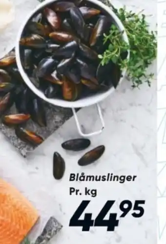 Bilka Blåmuslinger tilbud