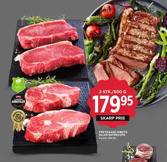 MENY FREYGAARD RIBEYE ELLER ENTRECOTE tilbud