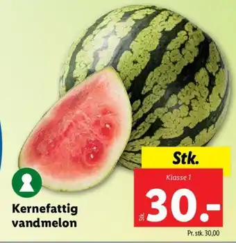 Lidl Kernefattig vandmelon tilbud