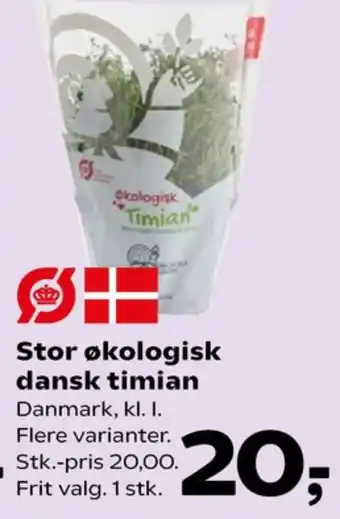 Timian