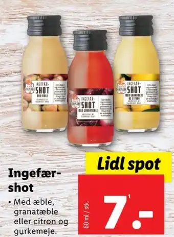 Lidl Ingefærshot Æble tilbud