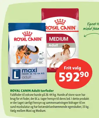 Maxi Zoo ROYAL CANIN Adult tørfoder tilbud