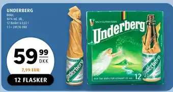 Scandinavian Park UNDERBERG tilbud