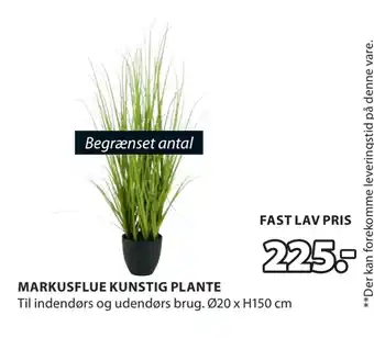 JYSK MARKUSFLUE KUNSTIG PLANTE tilbud