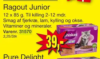 Harald Nyborg Ragout Junior tilbud