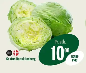 Icebergsalat