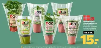 Netto Krydderurter tilbud