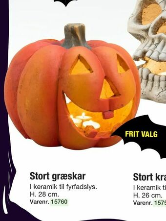 Harald Nyborg Stort græskar tilbud