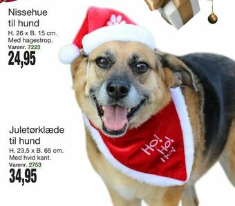 Harald Nyborg Juletørklæde til hund tilbud