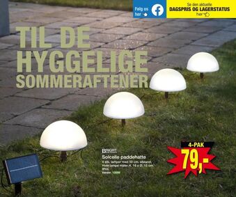 Harald Nyborg Solcelle paddehatte tilbud