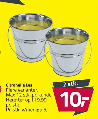 Citronella Lys