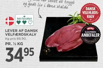 Kalvelever