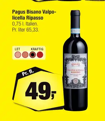 Pagus Bisano Valpolicella Ripasso