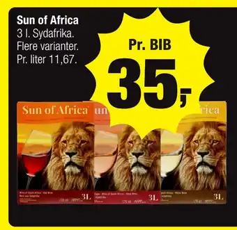 Calle Sun of Africa tilbud