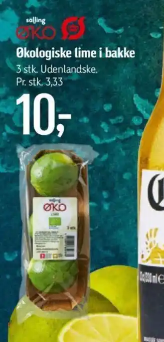 Økologiske lime i bakke