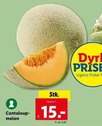 Lidl Cantaloup- melon tilbud