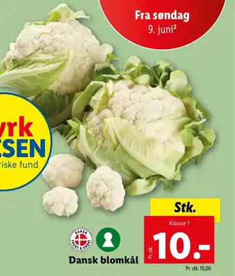 Lidl Dansk blomkål tilbud