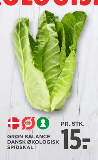 MENY GRØN BALANCE DANSK ØKOLOGISK SPIDSKÅL tilbud