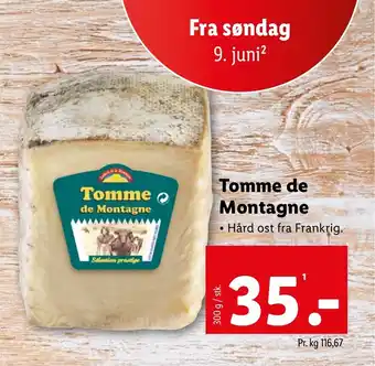 Tomme de Montagne