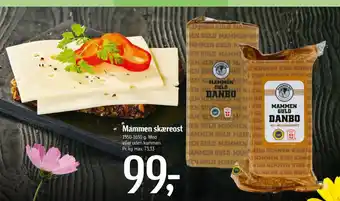 Føtex Mammen skæreost tilbud