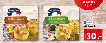 Mini gratin