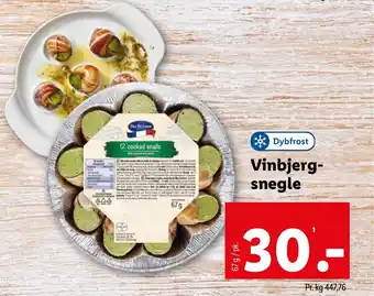 Lidl Vinbjerg- snegle tilbud