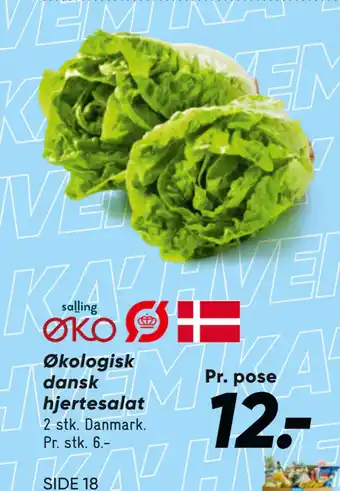 Bilka Økologisk dansk hjertesalat tilbud