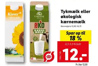 Lidl Tykmælk eller økologisk kærnemælk tilbud