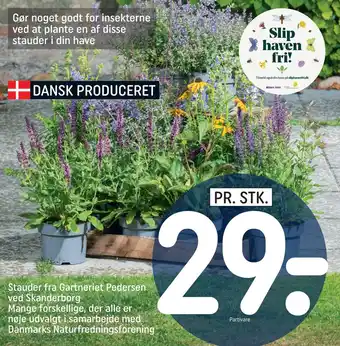 REMA 1000 Stauder fra Gartneriet Pedersen ved Skanderborg Mange forskellige, der alle er nøje udvalgt i samarbejde med Danmarks Naturfr tilbud