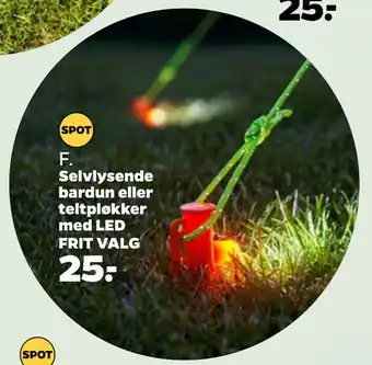 Netto Selvlysende bardun eller teltpløkker med LED tilbud