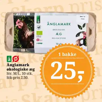 Dagli'Brugsen Änglamark økologiske æg tilbud