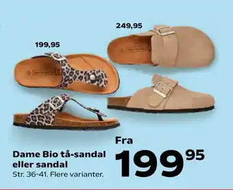 Dame Bio tå-sandal eller sandal