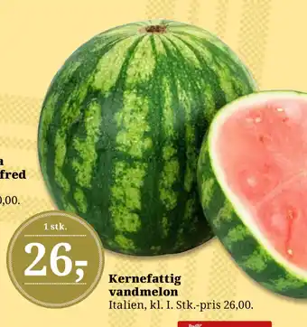 Dagli'Brugsen Kernefattig vandmelon tilbud