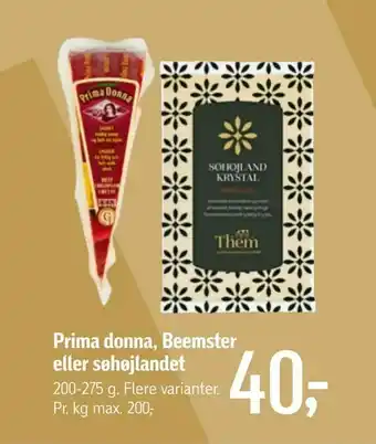 Prima donna, Beemster eller søhøjlandet