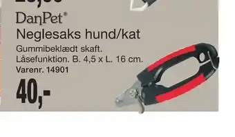 Neglesaks hund/kat