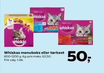 Kattefoder