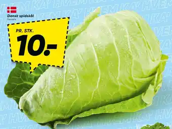Spidskål