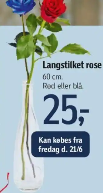 Føtex Langstilket rose tilbud