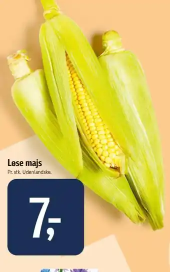 Løse majs