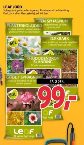 XL-BYG LEAF JORD tilbud