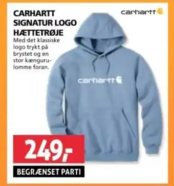 XL-BYG CARHARTT SIGNATUR LOGO HÆTTETRØJE tilbud