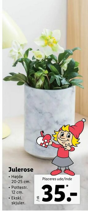 Let-Køb Julerose tilbud