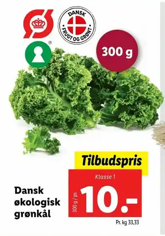 Let-Køb Dansk økologisk grønkål tilbud