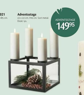 Adventsstage