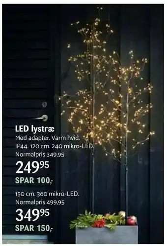 Kop & Kande LED lystræ tilbud