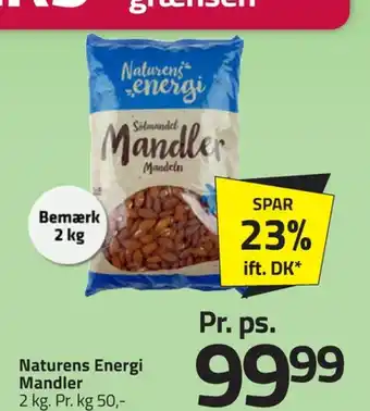 Fleggaard Mandler tilbud