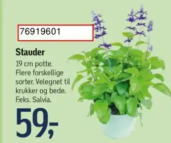 Føtex Stauder tilbud