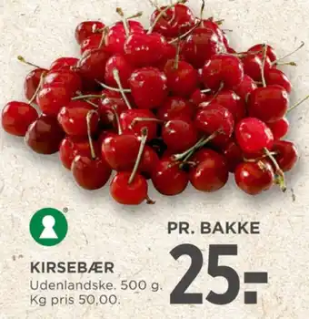 Kirsebær
