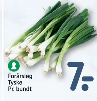 REMA 1000 Forårsløg tilbud